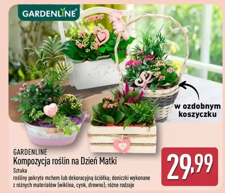 Kompozycja roślin na Dzień Matki