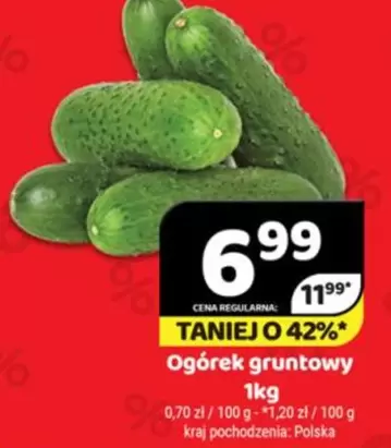 Ogórek gruntowy