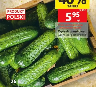 Ogórek gruntowy