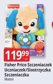 Fisher Price - Szczeniaczek Uczniaczek/Siostrzyczka Szczeniacka