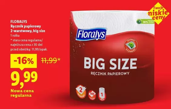Ręcznik papierowy, big size