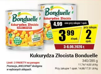 Kukurydza Złocista