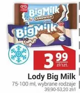 Lody Big Milk