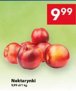 Nektarynki
