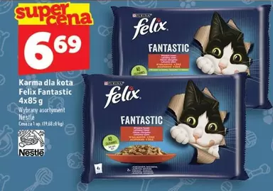 Karma dla kota Felix Fantastic