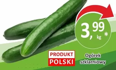 Ogórek szklarniowy