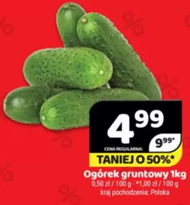 Ogórek gruntowy