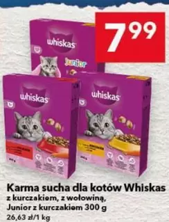 Karma sucha dla kotów