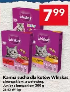 Karma sucha dla kotów Junior z kurczakiem