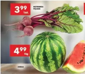 BOTWINKA PĘCZEK