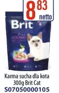 Cat - Karma sucha dla kota 300g