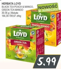 Black - HERBATA LOYD BLACK TEA PEACH & MANGO, GREEN TEA MANGO