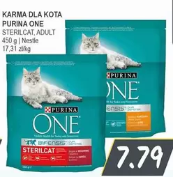 One - STERILCAT, ADULT
