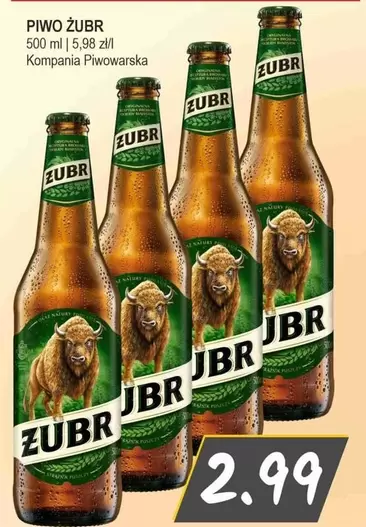 PIWO ŻUBR
