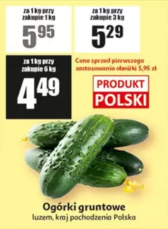 Ogórki gruntowe