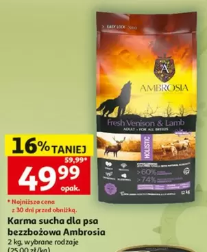 All - Karma sucha dla psa bezzbożowa