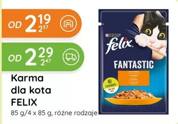 Karma dla kota