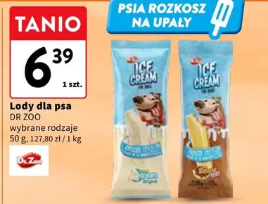 Zoo - Lody dla psa