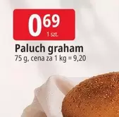 Paluch graham