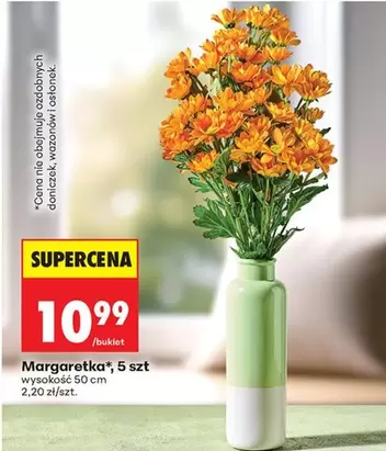 Margaretka