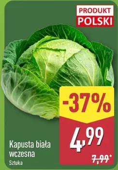 Kapusta biała wczesna