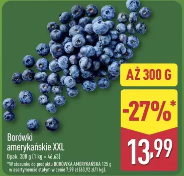 Borówki amerykańskie XXL