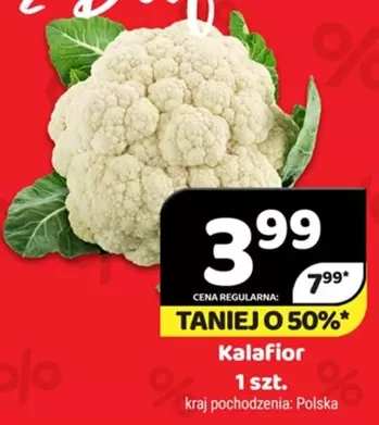 Kalafior