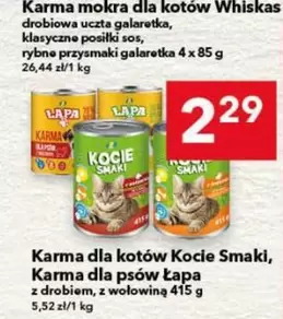 Karma mokra dla kotów