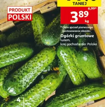 Ogórki gruntowe