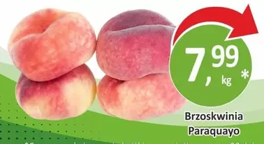 Brzoskwinia Paragayo