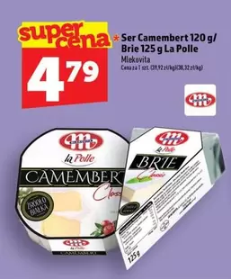 Class - Ser Camembert Brie