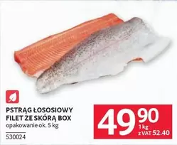 Ok - PSTRĄG ŁOSOSIOWY FILET ZE SKÓRĄ BOX 530024
