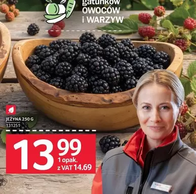 Jeżyna