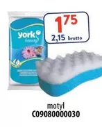 York - motyl C09080000030