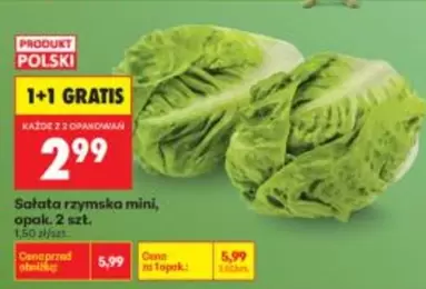 No - Sałata rzymska mini