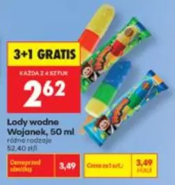 Lody wodne