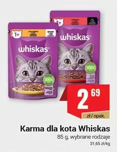 Karma dla kota