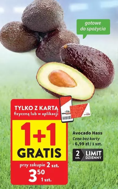 Avocado Hass