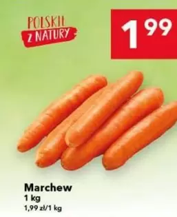 Marchew