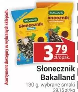 Słonecznik