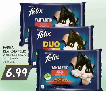 FANTASTIC / DUO (kota Felix)