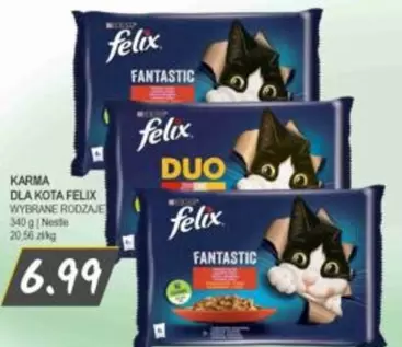 FANTASTIC / DUO (kota Felix)