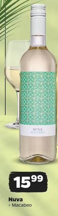 Nuva Macabeo