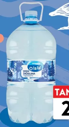 Woda Źródlana