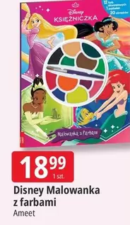 Disney -  Malowanka z farbami