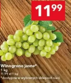 Winogrono Jasne
