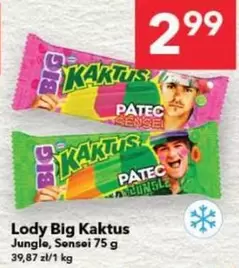Lody Big Kaktus Jungle, Sensei