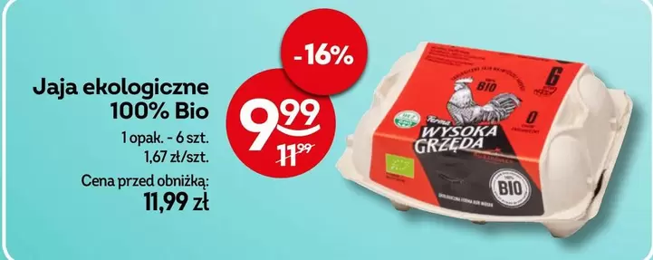 Terma - Jaja ekologiczne 100% Bio