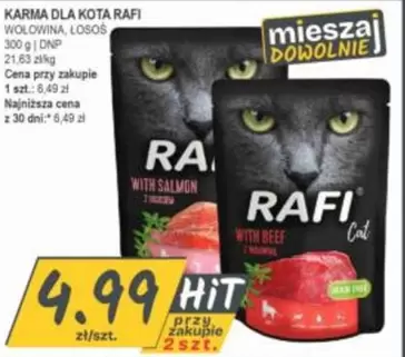 Cat - KARMA DLA KOTA