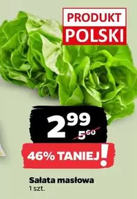 Sałata masłowa